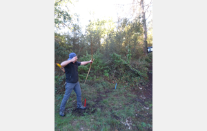 Bernard en arc chasse