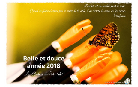 Excellentes flèches en 2018 !
