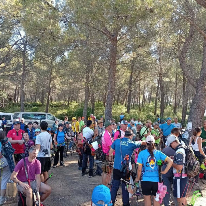 Championnat Régional 3D Miramas 2026